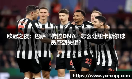 Bsport手机版
